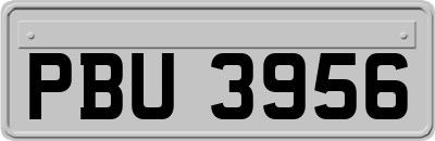 PBU3956