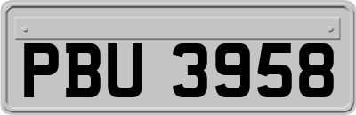 PBU3958