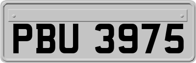 PBU3975