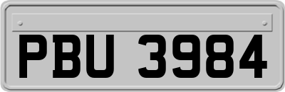 PBU3984