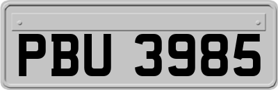 PBU3985