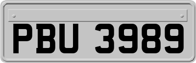 PBU3989