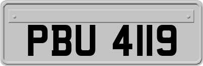 PBU4119