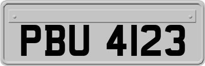 PBU4123