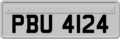 PBU4124