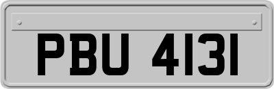 PBU4131