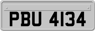 PBU4134