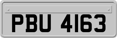 PBU4163