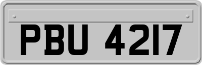 PBU4217