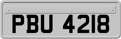 PBU4218