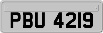 PBU4219