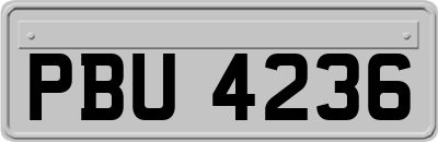 PBU4236