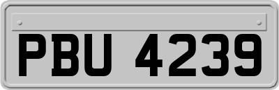 PBU4239