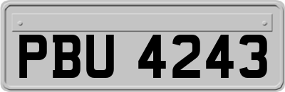 PBU4243