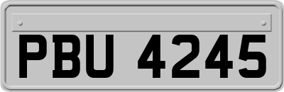 PBU4245