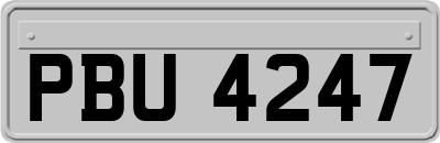 PBU4247