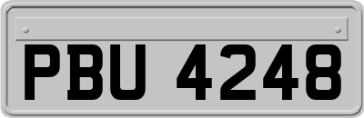 PBU4248