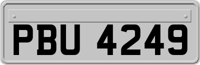 PBU4249