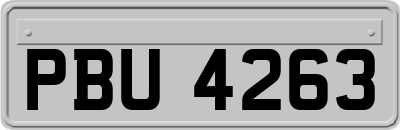 PBU4263