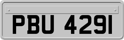 PBU4291