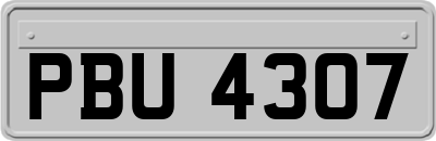 PBU4307