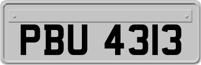 PBU4313