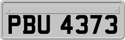 PBU4373