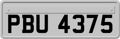 PBU4375