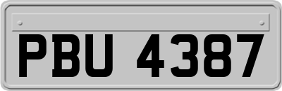 PBU4387