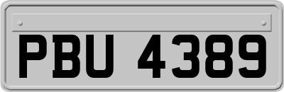 PBU4389