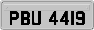 PBU4419