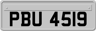 PBU4519