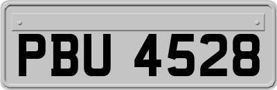 PBU4528