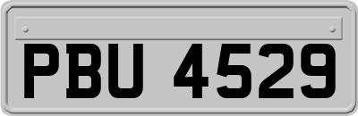 PBU4529