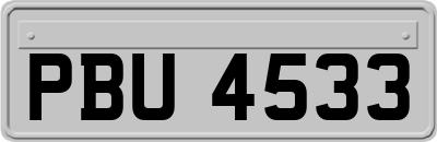 PBU4533