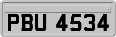 PBU4534