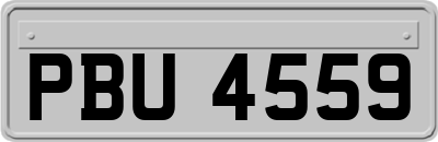 PBU4559