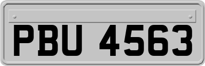 PBU4563