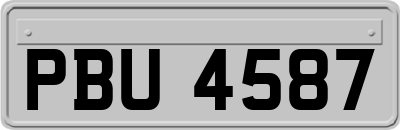 PBU4587