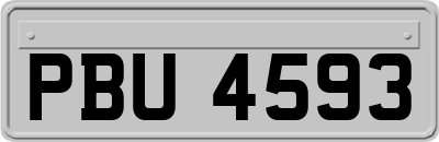 PBU4593