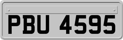 PBU4595