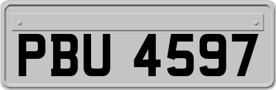 PBU4597