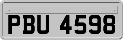 PBU4598