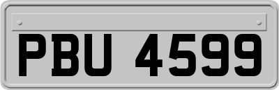 PBU4599