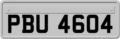 PBU4604