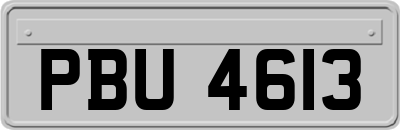 PBU4613