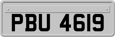 PBU4619