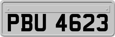 PBU4623