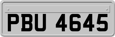 PBU4645