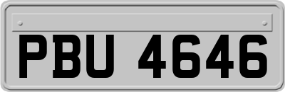 PBU4646